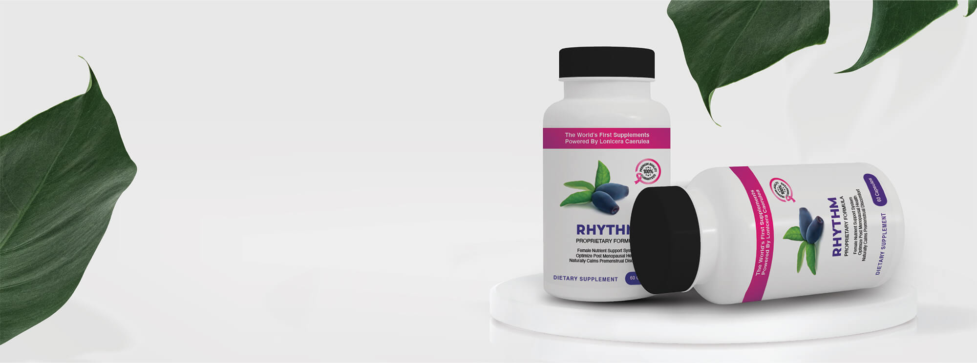 Rhythm