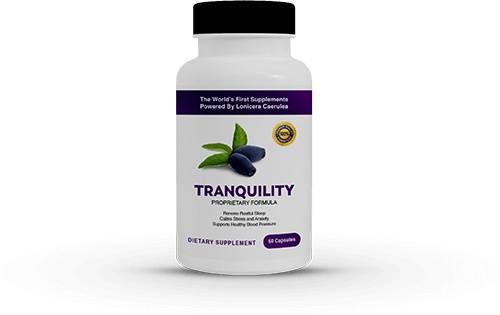 Lonicera Tranquility